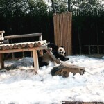 오주영님의 프로필 이미지