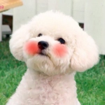 조소희님의 프로필 이미지