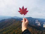 가 을님의 프로필 이미지