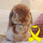 Sarah Nha님의 프로필 이미지