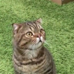 ㄱ.현지님의 프로필 이미지