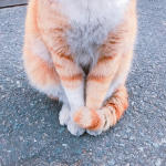 나옹님의 프로필 이미지