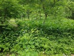 김미자님의 프로필 이미지