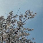윰님의 프로필 이미지