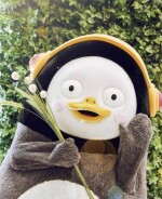 초아🌱님의 프로필 이미지
