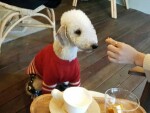 박현수님의 프로필 이미지
