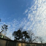 Aiden님의 프로필 이미지