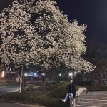 김혜인님의 프로필 이미지