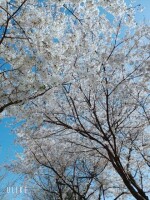 권수진님의 프로필 이미지