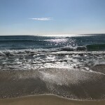 Zoe Bae님의 프로필 이미지