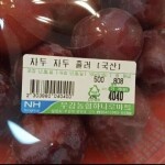 임하리님의 프로필 이미지