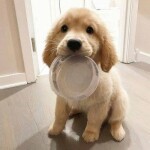 j님의 프로필 이미지