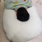 명이님의 프로필 이미지