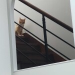 안세희님의 프로필 이미지