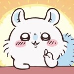 sin님의 프로필 이미지