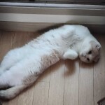 강동천님의 프로필 이미지