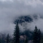 파도님의 프로필 이미지