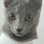 바밤바님의 프로필 이미지