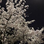 다솜님의 프로필 이미지