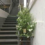 seeyeoon님의 프로필 이미지