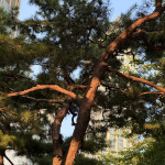 영은님의 프로필 이미지