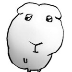 1134님의 프로필 이미지