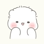 체크님의 프로필 이미지