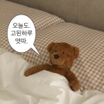 뗄루니님의 프로필 이미지