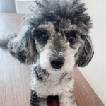 김희연님의 프로필 이미지