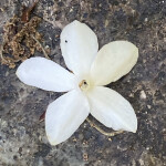 시농 천경배님의 프로필 이미지