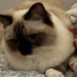 박경훈님의 프로필 이미지