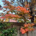 하늘색꿈님의 프로필 이미지