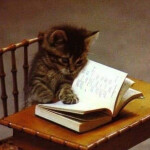 로디님의 프로필 이미지