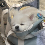 규림님의 프로필 이미지