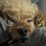 베나스님의 프로필 이미지