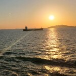 보라해님의 프로필 이미지