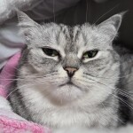 목살과뱃살님의 프로필 이미지