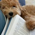 summer님의 프로필 이미지