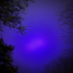 김정화님의 프로필 이미지