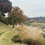 신주환님의 프로필 이미지