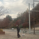 도라이몽님의 프로필 이미지