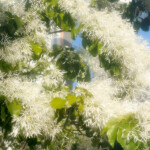 유안님의 프로필 이미지