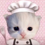 밥쫀쿠님의 프로필 이미지