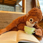 독숭이님의 프로필 이미지