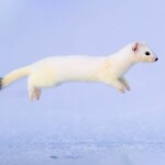 꼭코님의 프로필 이미지