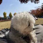 책읽는구리님의 프로필 이미지