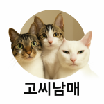 정기적님의 프로필 이미지