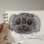 조준영님의 프로필 이미지