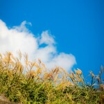 김지원님의 프로필 이미지