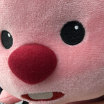 김하람님의 프로필 이미지